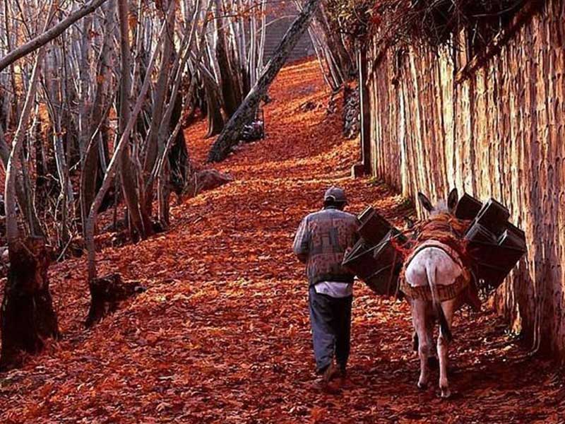 برنامه صعود به قله سیاه موه بام کاشان به سرپرستی آقای مسعود پورمیدانی از مربیان و مدرسان باشگاه کوهنوردی اژکهن اصفهان