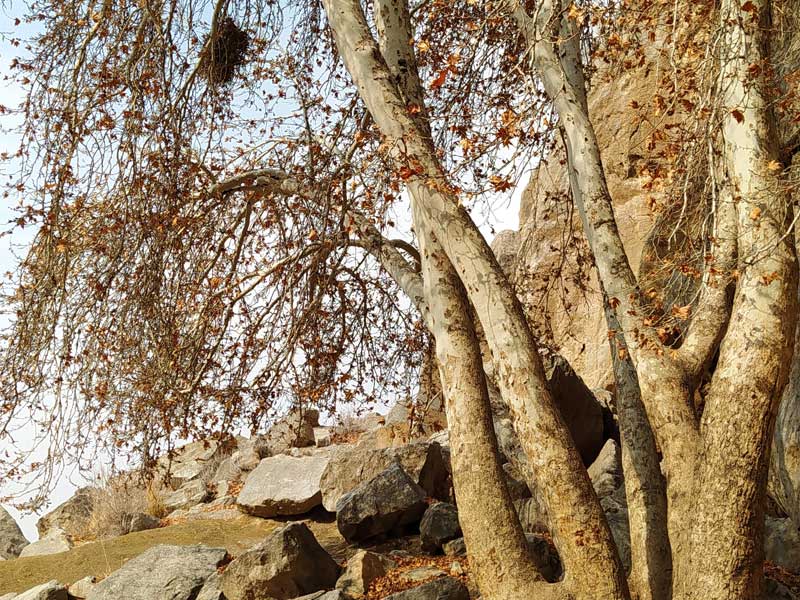 طی مسیر پاییزی رینگ شاهکوه به سرپرستی آرش بذرافشان مسئول کارگروه کوهنوردی باشگاه اژکهن اصفهان