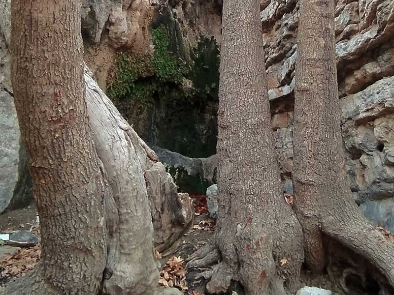 طی مسیر پاییزی رینگ شاهکوه به سرپرستی آرش بذرافشان مسئول کارگروه کوهنوردی باشگاه اژکهن اصفهان